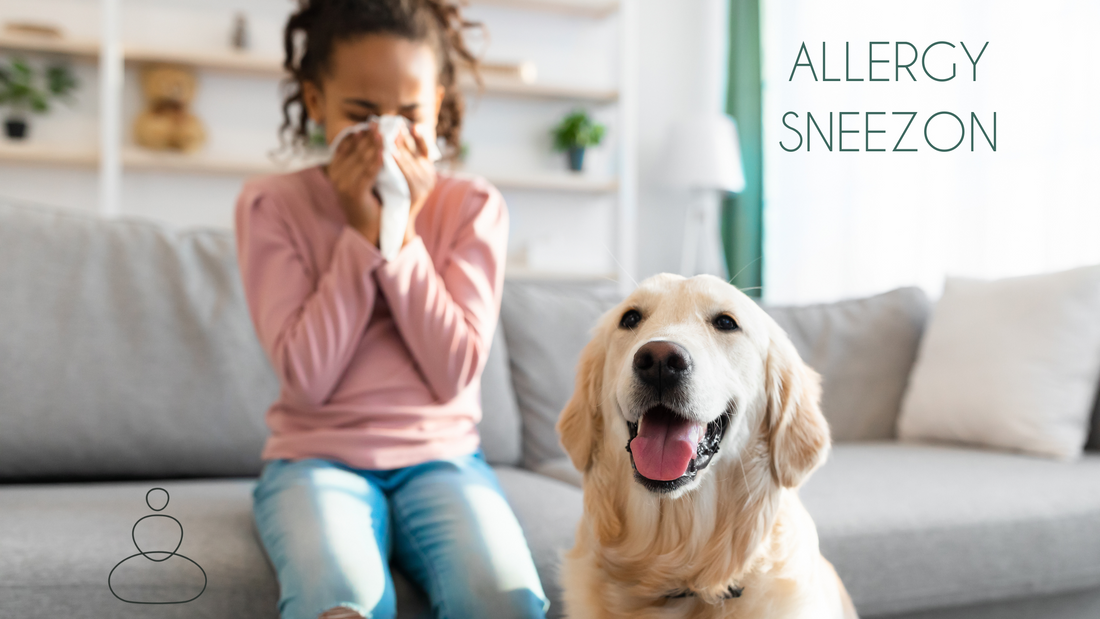 Natural ways to CONQUER allergies