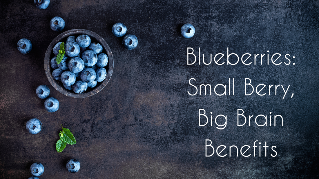 Blueberries: Small Berry, Big Brain Benefits