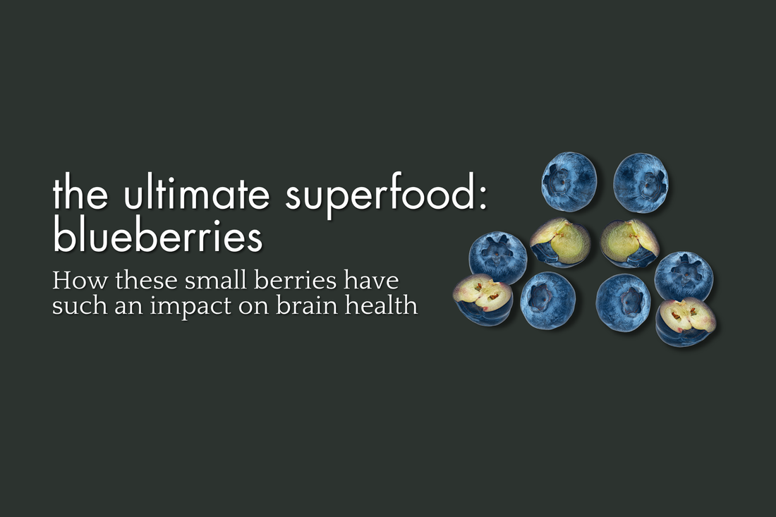 Blueberries: Small Berry, Big Brain Benefits
