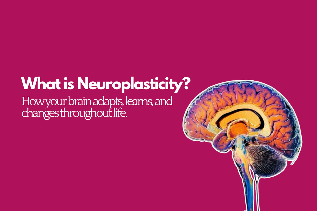 What is Neuroplasticty?