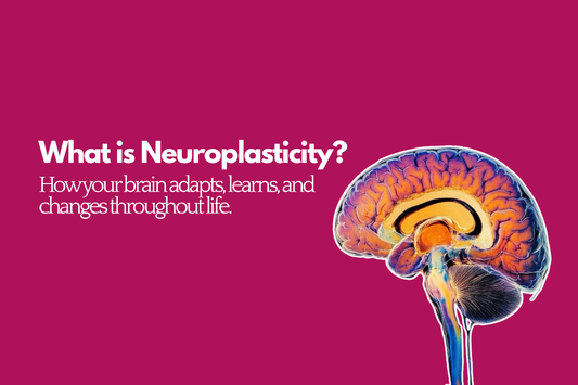 What is Neuroplasticty?