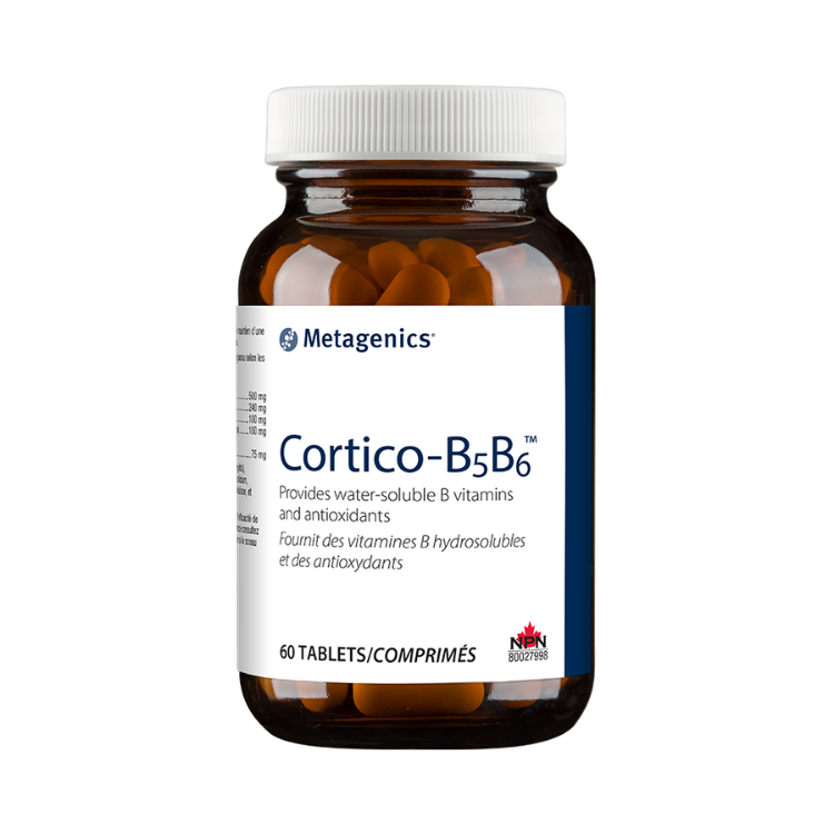 Cortico-B5B6 60T image 0